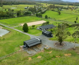 Rural / Farming commercial property for sale at 532 Jilliby Road Jilliby NSW 2259