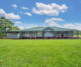 Rural / Farming commercial property for sale at 430 No 6 Branch Road South Johnstone QLD 4859