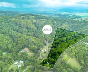 Rural / Farming commercial property for sale at 592 Clothiers Creek Road Clothiers Creek NSW 2484