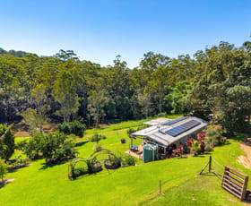 Rural / Farming commercial property for sale at 43 Houghtons Road Landers Shoot QLD 4555