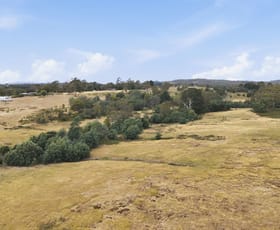 Rural / Farming commercial property for sale at 3615 West Tamar Highway Sidmouth TAS 7270