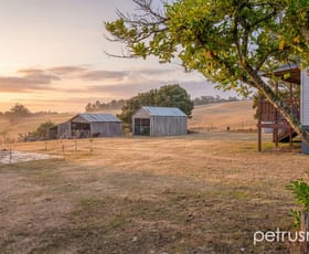 Rural / Farming commercial property for sale at 127 Lyalls Road Tunnack TAS 7120 Rural / Farming commercial property for sale at 127 Lyalls Road Tunnack TAS 7120