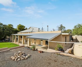 Rural / Farming commercial property for sale at 63 Carter Road Swanport SA 5253