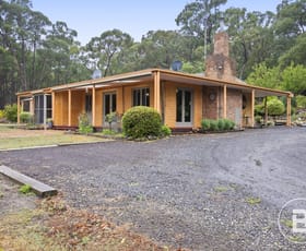 Rural / Farming commercial property for sale at 89 Little King Charlie Lane Chute VIC 3373