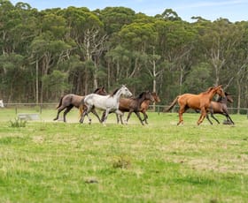 Rural / Farming commercial property for sale at 489 Nowra Road Moss Vale NSW 2577