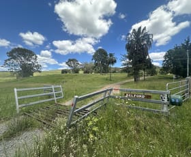 Rural / Farming commercial property for sale at 55 Kewins Road Glastonbury QLD 4570