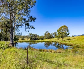 Rural / Farming commercial property for sale at 55 Kewins Road Glastonbury QLD 4570