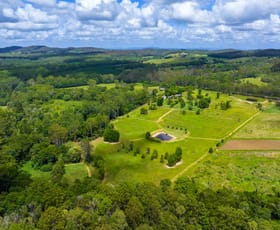 Rural / Farming commercial property for sale at 715 Wilsons Pocket Road Wilsons Pocket QLD 4570