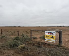 Rural / Farming commercial property for sale at 29 Acacia Road Everard Central SA 5461