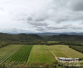 Rural / Farming commercial property for sale at 78 Fabris Road Dimbulah QLD 4872