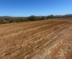 Rural / Farming commercial property for sale at Lot 1 Giles Road Moonyoonooka WA 6532