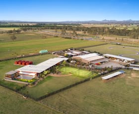 Rural / Farming commercial property for sale at 4986 Cunningham Highway Warrill View QLD 4307