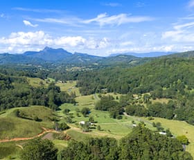 Rural / Farming commercial property for sale at 530-542 & Upper Crystal Creek Road Upper Crystal Creek NSW 2484