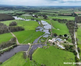 Rural / Farming commercial property for sale at 656 Tap Tap Road STACEYS BRIDGE and Harraps Road, Binginwarri VIC 3966