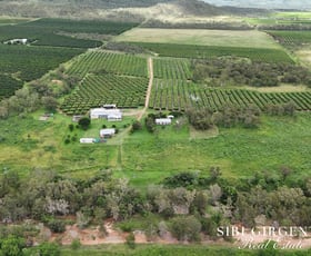 Rural / Farming commercial property for sale at 227 Top Eureka Dimbulah QLD 4872