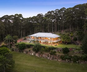 Rural / Farming commercial property for sale at 675 The Ridgeway Tumbi Umbi NSW 2261