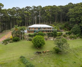 Rural / Farming commercial property for sale at 675 The Ridgeway Tumbi Umbi NSW 2261