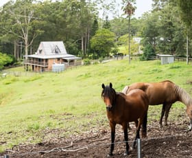 Rural / Farming commercial property for sale at 675 The Ridgeway Tumbi Umbi NSW 2261