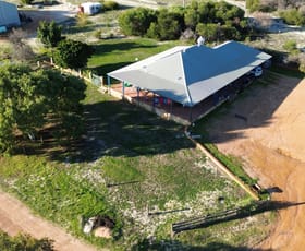 Rural / Farming commercial property for sale at 1169 Allanooka Springs Road Mount Hill WA 6528
