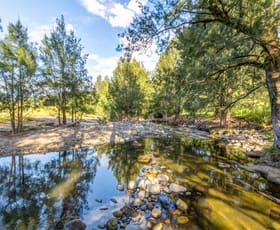 Rural / Farming commercial property for sale at 1012 Boonabilla Road Gresford NSW 2311