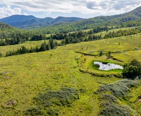 Rural / Farming commercial property for sale at 1012 Boonabilla Road Gresford NSW 2311