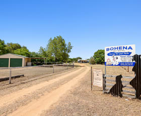 Rural / Farming commercial property for sale at 9834 Newell Highway Jacks Creek NSW 2390 Rural / Farming commercial property for sale at 9834 Newell Highway Jacks Creek NSW 2390