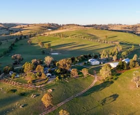 Rural / Farming commercial property for sale at 1859 Sylvia Vale Road Binda NSW 2583
