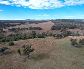 Rural / Farming commercial property for sale at Hollybank Road Inglewood QLD 4387 Rural / Farming commercial property for sale at Hollybank Road Inglewood QLD 4387