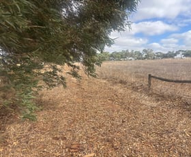 Rural / Farming commercial property for sale at Lot 9678 Geraldton Mount Magnet Road Wicherina WA 6532