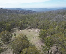 Rural / Farming commercial property for sale at Lot 97/97, 175 Tumbledown Road Peak View NSW 2630