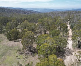 Rural / Farming commercial property for sale at Lot 97/97, 175 Tumbledown Road Peak View NSW 2630