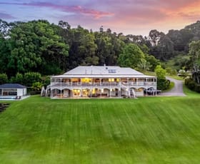 Rural / Farming commercial property for sale at 111 Coorabell Road Federal NSW 2480