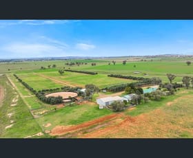 Rural / Farming commercial property for sale at "La Trinidad" Tamworth NSW 2340