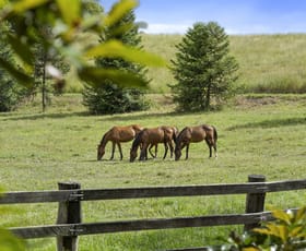 Rural / Farming commercial property for sale at 160 Upper Crystal Creek Road Upper Crystal Creek NSW 2484