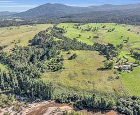 Rural / Farming commercial property for sale at 2577 Towamba Road Towamba NSW 2550