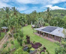 Rural / Farming commercial property for sale at 56 Probert Road Bambaroo QLD 4850