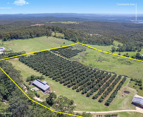 Rural / Farming commercial property for sale at 55 Horrex Road Ravensbourne QLD 4352