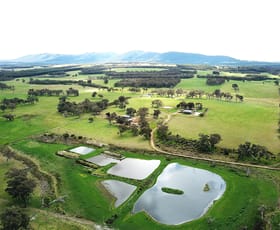 Rural / Farming commercial property for sale at 2935 Chester Pass Road Napier WA 6330