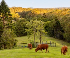 Rural / Farming commercial property for sale at 79 Isambert Road Glenview QLD 4553