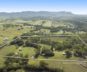 Rural / Farming commercial property for sale at 111 Halls Road Pokolbin NSW 2320