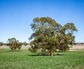 Rural / Farming commercial property for sale at 1089 Pedericks Road Lochaber SA 5271