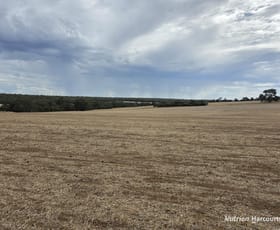 Rural / Farming commercial property for sale at "Bloomvale", Bloomfields Road Scotts Brook WA 6244 Rural / Farming commercial property for sale at "Bloomvale", Bloomfields Road Scotts Brook WA 6244