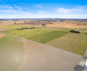Rural / Farming commercial property for sale at 51 Stevenson Road Suttontown SA 5291