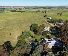Rural / Farming commercial property for sale at 510 Kingsvale Road Young NSW 2594