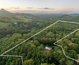 Rural / Farming commercial property for sale at 300 Sunrise Road Doonan QLD 4562