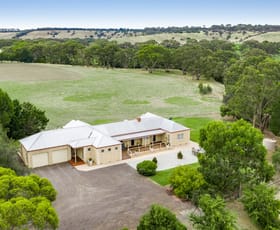 Rural / Farming commercial property for sale at 230 Inverleigh-Shelford Road Inverleigh VIC 3321