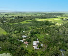 Rural / Farming commercial property for sale at 54 Studt Road Mareeba QLD 4880 Rural / Farming commercial property for sale at 54 Studt Road Mareeba QLD 4880