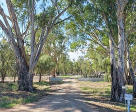Rural / Farming commercial property for sale at 465 East Barham Road Barham NSW 2732