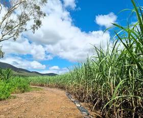 Rural / Farming commercial property for sale at Oakenden QLD 4741