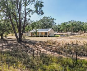 Rural / Farming commercial property for sale at 136 Bilamurru Road Mendooran NSW 2842